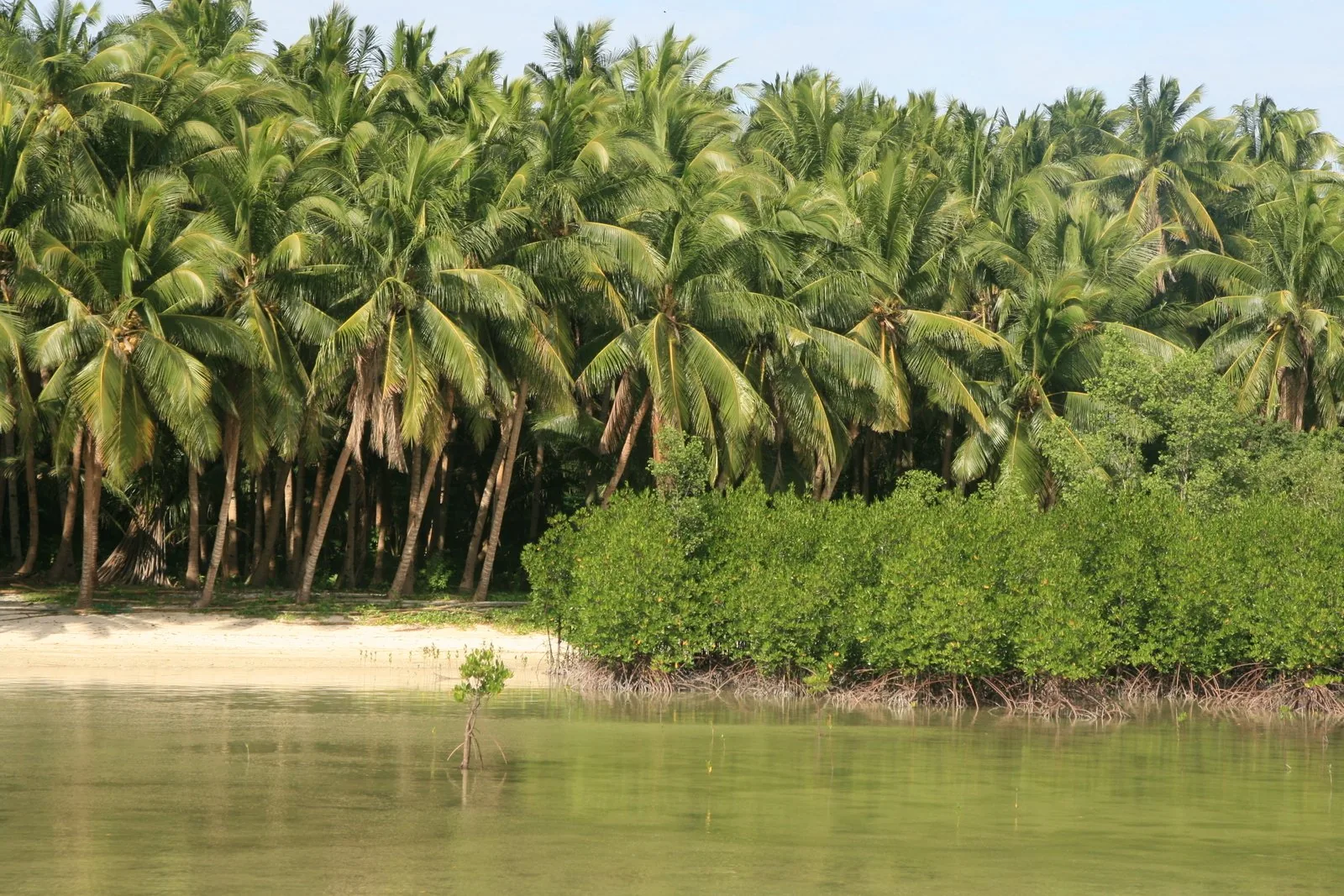 File:Bantayan coastline.JPG