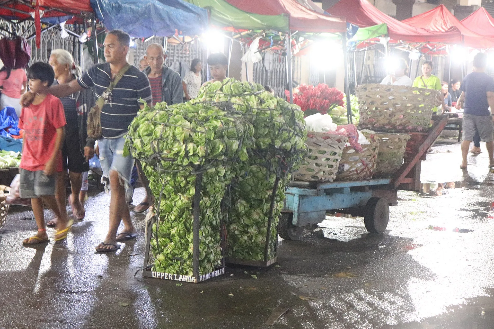 File:WikiNights Cebu - Carbon Market (10).jpg