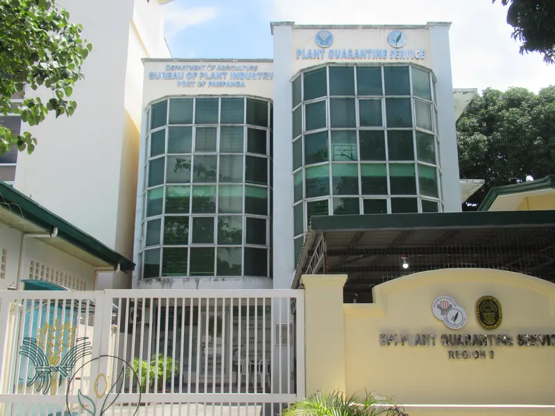 Maimpis San Fernando City Government Offices 19