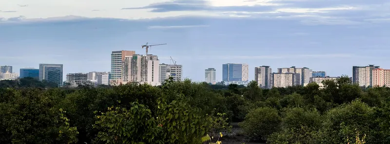 Mandurriao Iloilo City skyline 2025 (1)